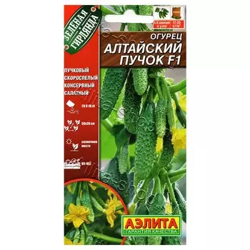 Огурец Алтайский пучок F1 Аэлита