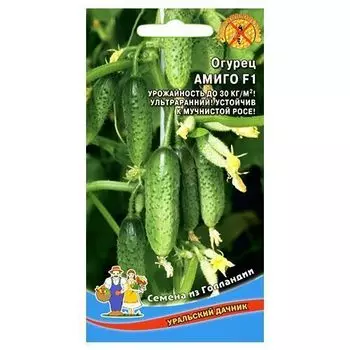 Огурец Амиго F1 Уральский дачник