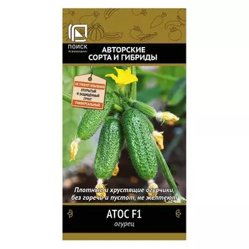 Огурец Атос F1 Поиск