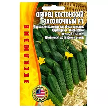 Огурец Бостонский засолочный F1 Редкие семена