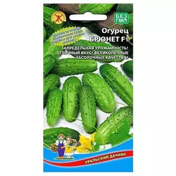 Огурец Брюнет F1 Уральский дачник