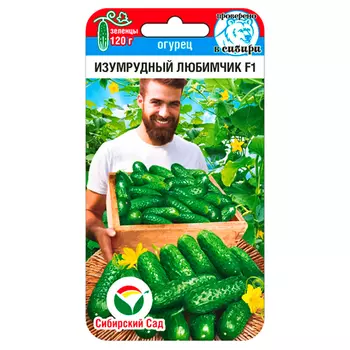 Огурец Изумрудный любимчик F1 Сибирский сад
