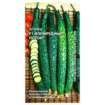Огурец Изумрудный поток F1 Седек