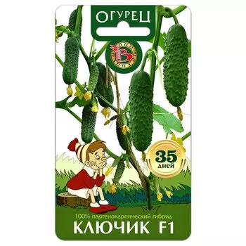 Огурец Ключик F1 Биотехника