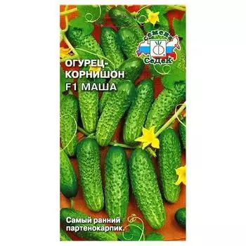 Огурец корнишон Маша F1 Седек