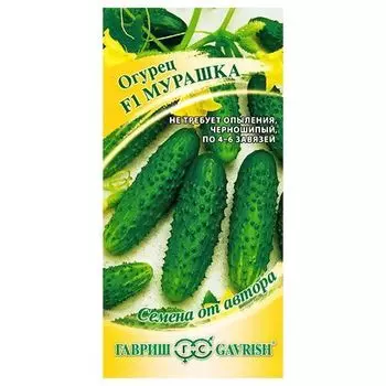 Огурец корнишон Мурашка F1 Гавриш