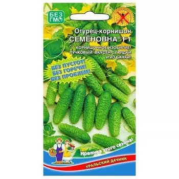 Огурец корнишон Семеновна Уральский дачник