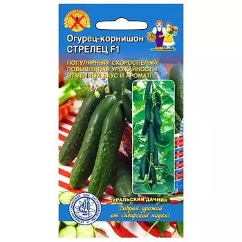 Огурец корнишон Стрелец F1 Уральский дачник
