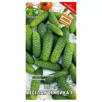 Огурец корнишон Веселая семейка F1 Поиск