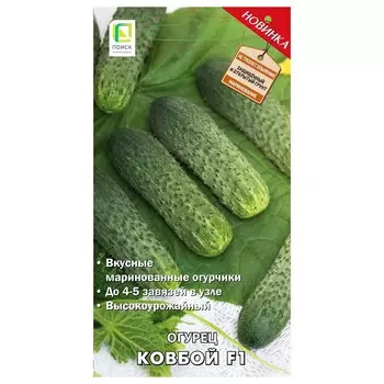 Огурец Ковбой F1 Поиск