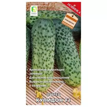 Огурец Купидон F1 Поиск