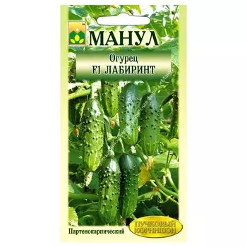 Огурец Лабиринт F1 Манул