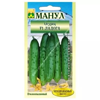 Огурец Ладога F1 Манул