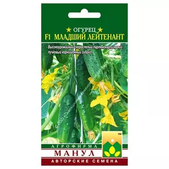 Огурец Младший лейтенант F1 Манул