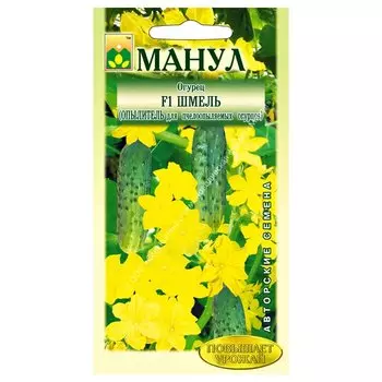 Огурец опылитель Шмель F1 Манул