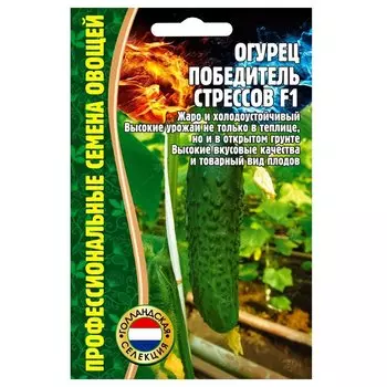 Огурец Победитель стрессов F1 Редкие семена