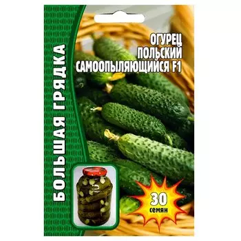 Огурец Польский самоопыляющийся F1 Редкие семена