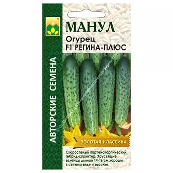 Огурец Регина-плюс F1 Манул