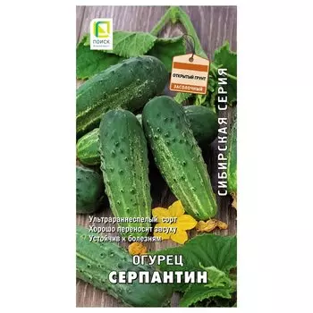 Огурец Серпантин Поиск