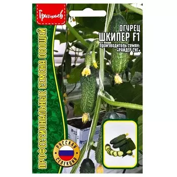 Огурец Шкипер F1 Редкие семена