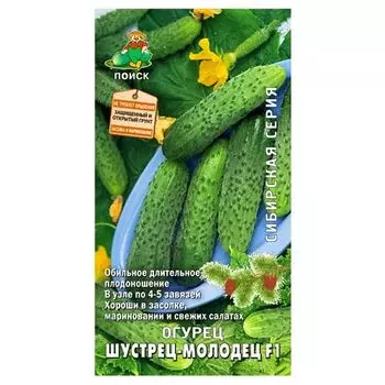 Огурец Шустрец-молодец F1 Поиск