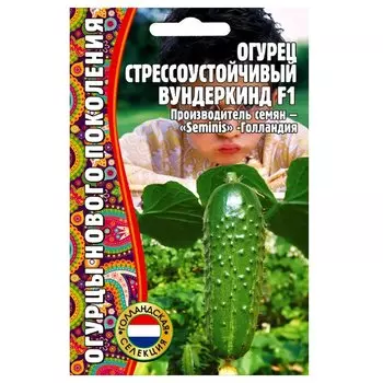 Огурец стрессоустойчивый Вундеркинд F1 Редкие семена