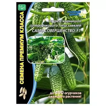 Огурец суперпучкового типа Само совершенство F1 Уральский дачник