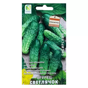 Огурец Светлячок Поиск