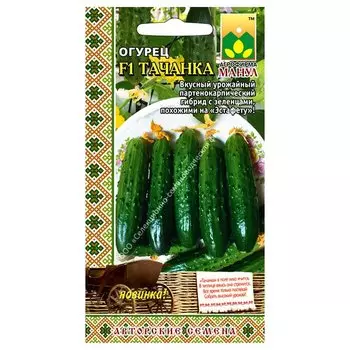 Огурец Тачанка F1 Манул