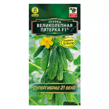 Огурец Великолепная пятерка F1 Аэлита