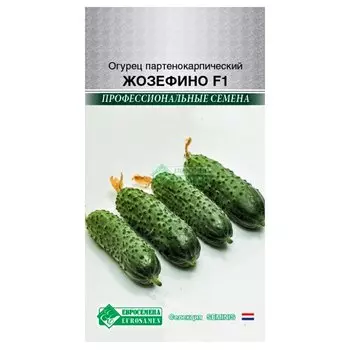 Огурец Жозефино F1 Евросемена
