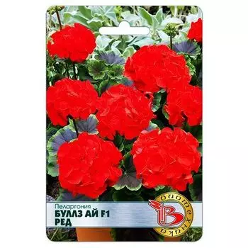 Пеларгония (герань) Буллз Ай F1 Ред Биотехника