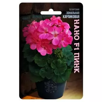 Пеларгония (герань) зональная карликовая Нано F1 Пинк Биотехника