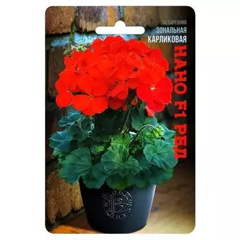 Пеларгония (герань) зональная карликовая Нано F1 Ред Биотехника