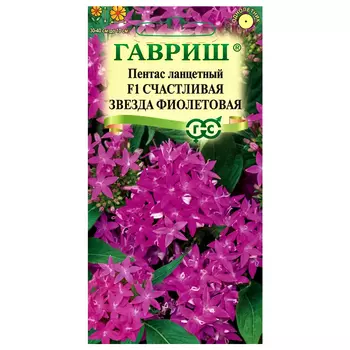 Пентас ланцетный Счастливая звезда фиолетовая F1 Гавриш