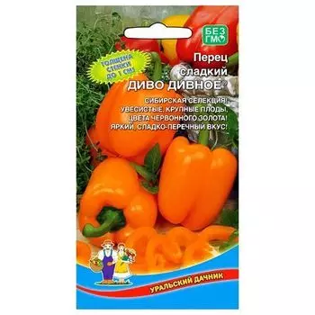 Перец сладкий Диво дивное Уральский дачник