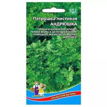 Петрушка листовая Андрюшка Уральский дачник