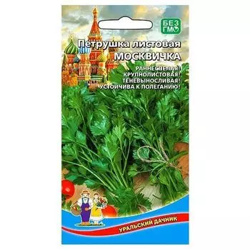 Петрушка листовая Москвичка Уральский дачник