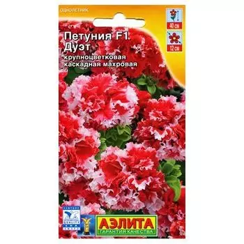 Петуния каскадная махровая Дуэт F1 Аэлита