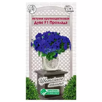 Петуния крупноцветковая Дуве Прохлада F1 Евросемена