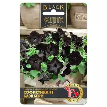 Петуния крупноцветковая Софистика Блэкбери F1 Биотехника