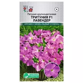 Петуния крупноцветковая Тритуния Лавендер F1 Евросемена