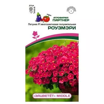 Петуния многоцветковая полуампельная Зацветет Middl Роузмэри F1 Партнер
