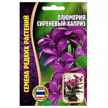 Плюмерия (Франжипани) Сиреневый каприз Редкие семена
