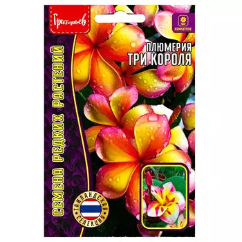 Плюмерия (Франжипани) Три Короля Редкие семена
