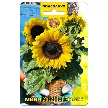 Подсолнух карликовый Мини-Макс Minima F1 Биотехника