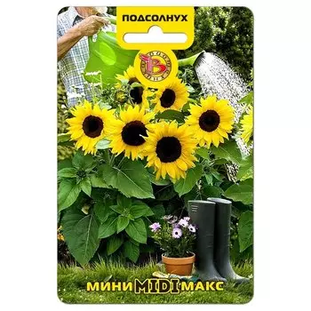 Подсолнух срезочный Мини-Макс Мidi F1 Биотехника