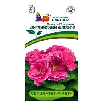 Примула F1 махровая Тет-А-Тет Английский фарфор Партнер
