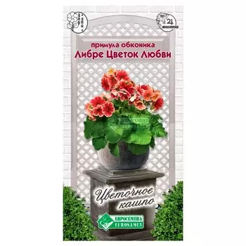 Примула обконика Либре Цветок любви Евросемена