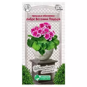 Примула обконика Либре Весенний поцелуй Евросемена